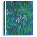Iris - Claude Monet - Canvas Print