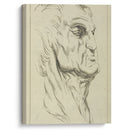 Head of a man - Peter Paul Rubens - Canvas Print