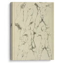 Studies of male torsos - Peter Paul Rubens - Canvas Print