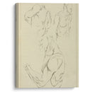 Studies of a man’s chest, biceps, and shoulders - Peter Paul Rubens - Canvas Print