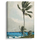 Palm Tree, Nassau (1898) - Winslow Homer - Canvas Print