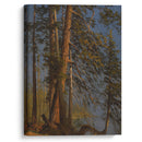 Park at Vancouver (ca 1889) - Albert Bierstadt - Canvas Print