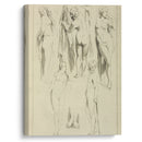 Studies of standing female nudes and a pair of feet - Peter Paul Rubens - Canvas Print