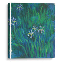 Iris - Claude Monet - Canvas Print