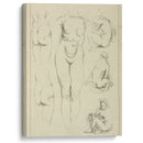 Studies of the female torso, buttocks, and seated figures, dorsal view - Peter Paul Rubens - Canvas Print