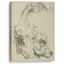 Heads and necks of two bovines; portion of neck of a third - Peter Paul Rubens - Canvas Print
