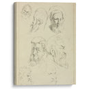 Seven male heads, all with beards, two wearing caps - Peter Paul Rubens - Canvas Print