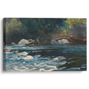 The Rapids, Hudson River, Adirondacks (1894) - Winslow Homer - Canvas Print