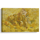 Quinces, lemons, pears and grapes (from 1887 until 1888) - Vincent van Gogh - Canvas Print