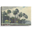Red Shirt,Homosassa, Florida (1904) - Winslow Homer - Canvas Print