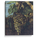 Grappe De Raisins (1871) - Gustave Courbet - Canvas Print