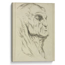 Head of a man - Peter Paul Rubens - Canvas Print