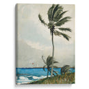 Palm Tree, Nassau (1898) - Winslow Homer - Canvas Print