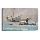 Stowing Sail (1903) - Winslow Homer - Canvas Print