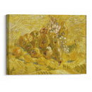Quinces, lemons, pears and grapes (from 1887 until 1888) - Vincent van Gogh - Canvas Print