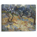 Olive Trees - Vincent van Gogh - Canvas Print - UAIO LMT