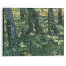 Undergrowth - Vincent van Gogh - Canvas Print - UAIO LMT