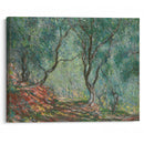 Bois d’oliviers au jardin Moreno (1884) - Claude Monet - Canvas Print