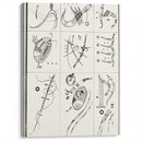 Ohne Titel (1939) - Wassily Kandinsky - Canvas Print