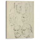 Studies of the head of a bearded man, and the head of a creature - Peter Paul Rubens - Canvas Print