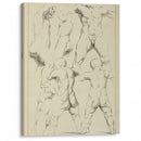 Studies of male torsos - Peter Paul Rubens - Canvas Print