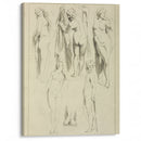 Studies of standing female nudes and a pair of feet - Peter Paul Rubens - Canvas Print
