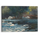 The Rapids, Hudson River, Adirondacks (1894) - Winslow Homer - Canvas Print