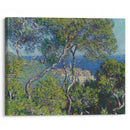 Bordighera (1884) - Claude Monet - Canvas Print