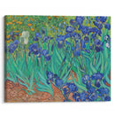Irises (1889) - Vincent van Gogh - Canvas Print - UAIO LMT