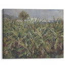 Field of Banana Trees (1881) - Pierre-Auguste Renoir - Canvas Print