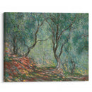 Bois d’oliviers au jardin Moreno (1884) - Claude Monet - Canvas Print