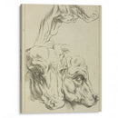 Heads and necks of two bovines; portion of neck of a third - Peter Paul Rubens - Canvas Print
