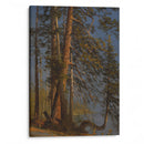 Park at Vancouver (ca 1889) - Albert Bierstadt - Canvas Print