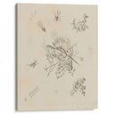 Kleine Welten X (R. 173) (1922) - Wassily Kandinsky - Canvas Print