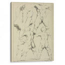 Studies of male torsos - Peter Paul Rubens - Canvas Print
