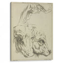 Heads and necks of two bovines; portion of neck of a third - Peter Paul Rubens - Canvas Print