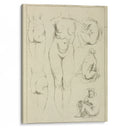 Studies of the female torso, buttocks, and seated figures, dorsal view - Peter Paul Rubens - Canvas Print