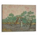 Women Picking Olives (1889) - Vincent van Gogh - Canvas Print - UAIO LMT