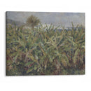 Field of Banana Trees (1881) - Pierre-Auguste Renoir - Canvas Print