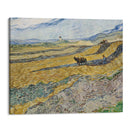 Enclosed Field with Ploughman (1889) - Vincent van Gogh - Canvas Print - UAIO LMT