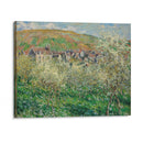 Flowering Plum Trees (1879) - Claude Monet - Canvas Print