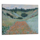 Poppy Field in a Hollow near Giverny (1885) - Claude Monet - Canvas Print