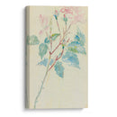 Églantines - Édouard Manet - Canvas Print