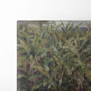 Field of Banana Trees (1881) - Pierre-Auguste Renoir - Canvas Print