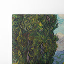 Cypresses (1889) - Vincent van Gogh - Canvas Print - UAIO LMT