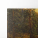 California Redwoods (1872) - Albert Bierstadt - Canvas Print
