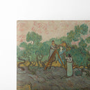 Women Picking Olives (1889) - Vincent van Gogh - Canvas Print - UAIO LMT