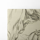 Heads and necks of two bulls in profile - Peter Paul Rubens - Canvas Print