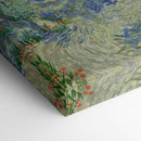 Olive Orchard - Vincent van Gogh - Canvas Print - UAIO LMT