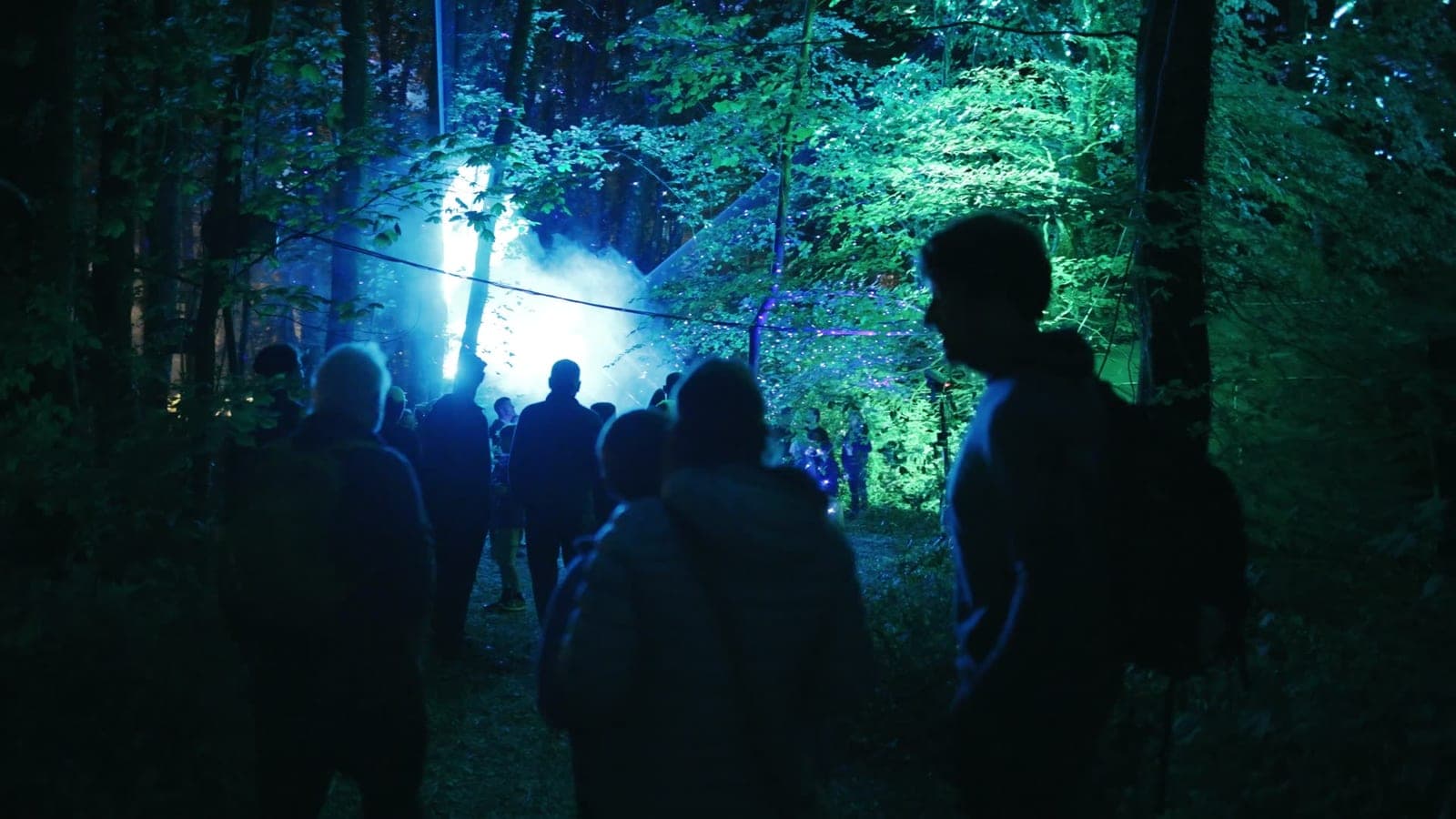 Festival-goers silhouetted on a woodland path lit green and blue at Krankenhaus